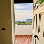 Rent 2 bedroom apartment of 65 m² in Forio