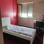 Rent 2 bedroom apartment in Lisbon