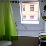 Rent 1 bedroom apartment of 54 m² in Dresden