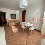 Rent 3 bedroom apartment of 50 m² in Padova