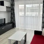 Rent 2 bedroom apartment of 52 m² in Brasov