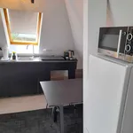 Rent 1 bedroom apartment of 28 m² in Bonn