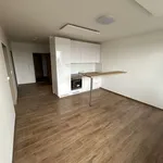 Rent 2 bedroom apartment of 57 m² in Bruntál