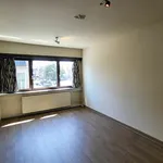 Huur 3 slaapkamer appartement van 205 m² in BORNEM