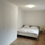 Rent 4 bedroom apartment of 60 m² in Küblis