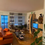 Rent 4 bedroom apartment in Emmen