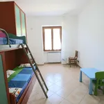 Rent 4 bedroom apartment of 80 m² in Roma