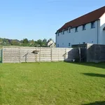 Rent 3 bedroom house of 300 m² in HAMME-MILLE