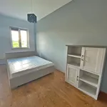 Rent 2 bedroom apartment of 54 m² in Grudziądz