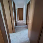 Rent 3 bedroom apartment of 105 m² in Foggia