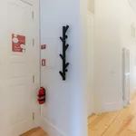 Rent 1 bedroom apartment in Porto