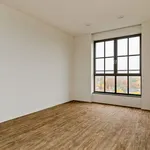 Rent 2 bedroom apartment of 111 m² in Tilburg