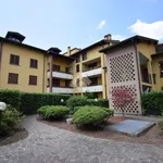 Rent 3 bedroom apartment of 80 m² in Brugherio