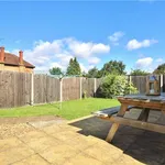 Rent 1 bedroom house in Surrey