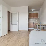 Rent 2 bedroom apartment in Břeclav