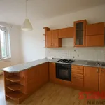 Pronajměte si 3 ložnic/e byt o rozloze 60 m² v Pilsen