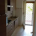 Rent 3 bedroom apartment of 80 m² in Rome