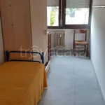 Rent 1 bedroom apartment of 28 m² in Padova