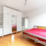 Rent 3 bedroom apartment in Capital City of Prague