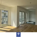 Rent 3 bedroom apartment of 79 m² in Dresden