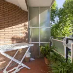 Rent a room of 120 m² in madrid