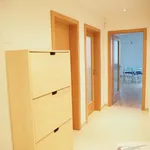 Rent 2 bedroom apartment of 66 m² in Trhový Štěpánov