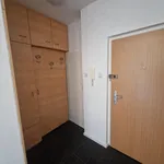 Rent 3 bedroom apartment of 91 m² in Graz