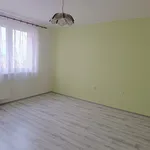 Rent 1 bedroom apartment in Děčín