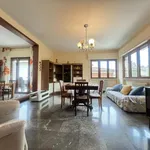 Rent 3 bedroom apartment of 150 m² in pietrasanta