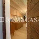 Rent 2 bedroom apartment of 50 m² in Rome