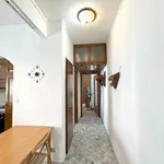 Rent 2 bedroom apartment of 50 m² in Milano