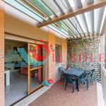 Rent 2 bedroom apartment of 80 m² in Pisa