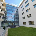 Rent 3 bedroom apartment of 115 m² in Brno