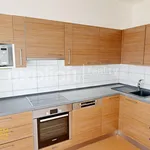 Rent 3 bedroom apartment of 81 m² in Zlín