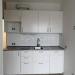 Rent 1 bedroom apartment of 40 m² in Buccinasco