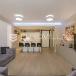 Rent 2 bedroom apartment of 127 m² in Zagreb