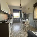 Rent 4 bedroom apartment of 99 m² in Sassuolo