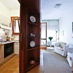 Rent 2 bedroom apartment of 50 m² in Firenze