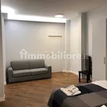 Rent 2 bedroom apartment of 45 m² in Turin