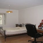  appartement avec 1 chambre(s) en location à Castres