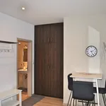 Rent 1 bedroom apartment in Brno