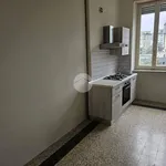 Rent 2 bedroom apartment of 40 m² in Turin