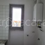 Rent 3 bedroom apartment of 70 m² in Torino