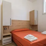 Rent 2 bedroom apartment of 61 m² in bologna