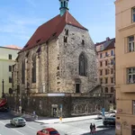 Studio o rozloze 60 m² v Prague