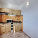 Rent 2 bedroom apartment of 52 m² in Žlutice