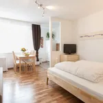 Miete 1 Schlafzimmer wohnung von 30 m² in Graz