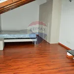 Rent 2 bedroom apartment of 70 m² in Varese