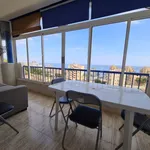 Rent 2 bedroom apartment of 56 m² in Elx / Elche