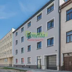 Rent 3 bedroom apartment of 67 m² in Hradec Králové